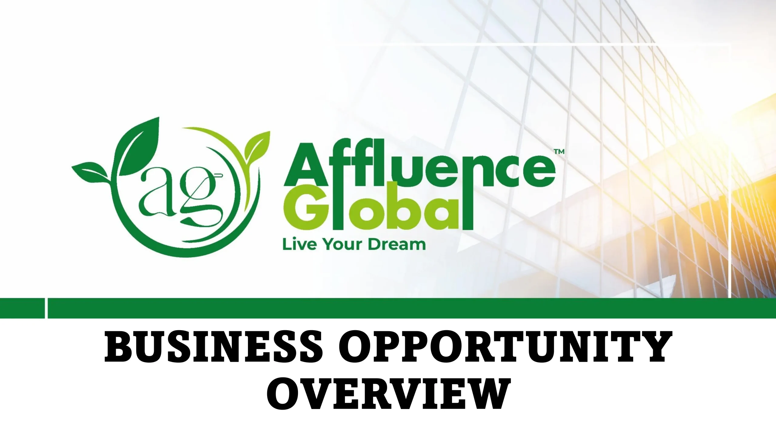 Affluence Global Business Opportunity - Rich Rifts